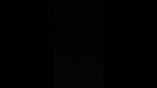 공지 (설참) (3개)