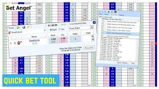 Bet Angel - Quick Bet Feature