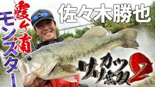 【バス釣り】オカッパリで霞ヶ浦モンスターをねらう！【ササカツ無双 ２ 】｜Ultimate BASS by DAIWA Vol.701