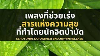 เพลงเปียโนที่ทำให้หลั่งสารแห่งความสุขฉับพลัน ภาพสวยละมุน เพลงสปา เพลงกล่อมนอน ฟังทำงาน บำบัดจิตใจ