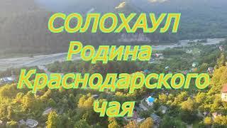 Горное село Солохаул. Чайные плантации в Сочи.