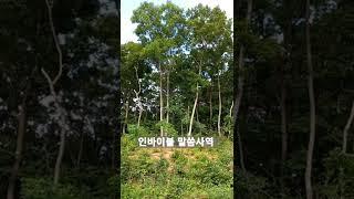 인바이블 말씀사역 #amen #한국신학교 #shorts
