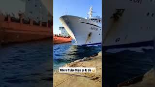 Cruise Ship Bone Yard #ships #ocean #boats #boneyard #interesting #viralposts #yacht #cruise