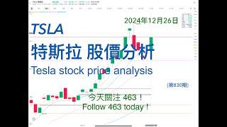 TSLA Tesla stock price trend analysis December 26, 2024 (Issue 830)