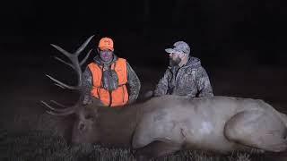 First day bull elk in NW Colorado #hunting