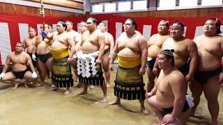 Rope-Making & Ring Entrance Practice + Post-Ceremony Feast! [New Yokozuna Hoshoryu]