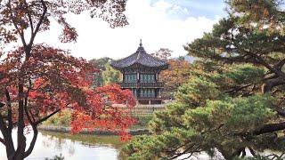 서울 단풍명소 경복궁 경회루와 향원정(고궁의 가을)(4K)(2024.11.03)|Gyeongbokgung Palace in Korea|Life in Korea Vlog 