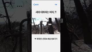 새와 대화하는 여자..?! #배지연