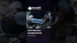  Prepare to be inspired by the incredible story of "Earthbound" 