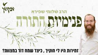 זמירות היו לי חוקיך, כיצד שמח דוד במצוות? | פנימיות התורה | הרב שלומי שפירא