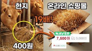 소 키우면서도 가능한 현실적인 부업 3가지, 빨리 시작할수록 이득! (투잡, 겸업, 유튜브, 온라인쇼핑몰)