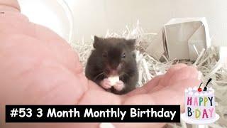 mila #53 3 Month Monthly Birthday ３ヵ月のマンスリーバースデー