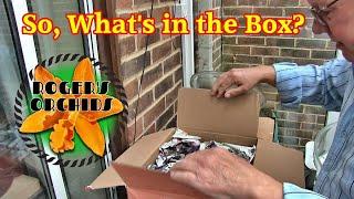 An Unboxing Video More New Orchids