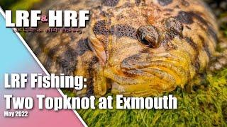 LRF Fishing: Two Topknot at Exmouth