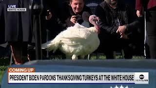 LIVE: President Biden pardons Thanksgiving turkeys at the White House