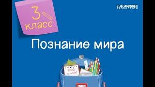 Познание мира. 3 класс. Кочевники и земледельцы /25.11.2020/