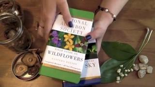 Non-witchy Witchy Resources: Field Guides for Mushrooms, Flowers, Rocks, Minerals & The Night Sky