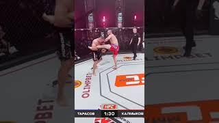 Артём Тарасов  Мухамед Калмыков Бой по ММА Нокаут #shorts #мма #бои #тарасов #калмыков #нокаут