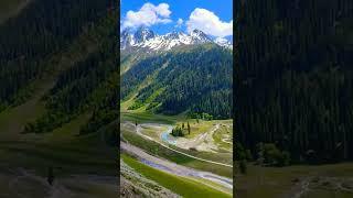 Amazing view of Baltal Sonmarg #explore #sonmarg #baltal #kashmir ..subscribe my channel