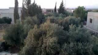 دبكة مجوز حوران - يا أم الوردة