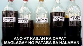 Ano At Kailan Ka Dapat Maglagay Ng Pataba Sa Halaman