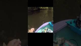 サンカクコティーサンとヤマタヌキさん　～亀山湖・バス釣り～　Okagesan fishing notes Lure Fishing Large mouth bass【ショート版】