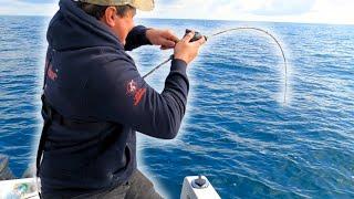 Boat Fishing UK - Non Stop Bass & Pollack Fishing In The English Channel