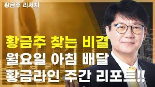 오늘[딱!이거] 황금주 찾는 비결