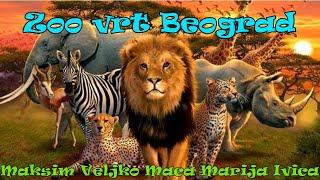 Zoo vrt Beograd