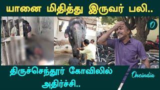 Tiruchendur Temple-ல் Elephant மிதித்து இருவர் பலி | Oneindia Tamil