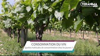 Le vin un plaisir nature pour les jeunes - Teranima TV