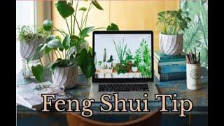 FENG SHUI TIP: Plants in the office