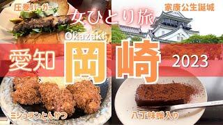 【女ひとり旅】岡崎市ひとり旅｜ミシュランとんかつ｜松潤｜ザラメバーガー｜岡崎城