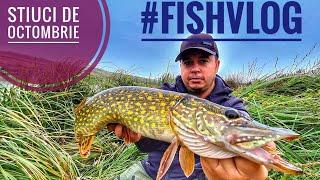 Pescuit la stiuca cu Fish Hacker ( Shary Vlog-R ) pe balta Baltatu Fundeni!!