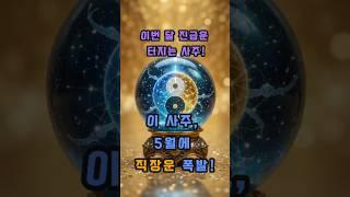 이 사주, 5월에 직장운 폭발! #사주 #행운 #로또 #운세 #2025년 #재물운 #일간 #사주팔자 #연애운 #신년운세 #띠