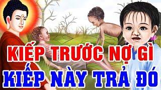 Chuyện Nhân Quả 2025 Hay, KIẾP TRƯỚC NỢ GÌ KIẾP NÀY TRẢ ĐÓ - Nhân Quả Báo Ứng Không Bỏ Sót Một Ai