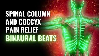 Spinal Column and Coccyx Pain Relief: Develop Brain Spinal Cord and Nerve Connection: Binaural Beats