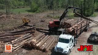 Collin Jackson of Premier Timber Harvesting about the Barko 595B