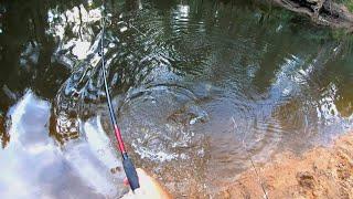 Murray cod fishing with cheese and worms feat. Brett Corker