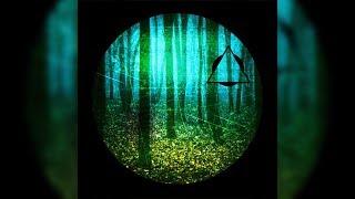 Autumn Of Communion - Autumn Of Communion [Full Album]