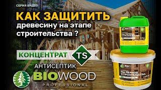 Обзор транспортного антисептика для древесины BIOWOOD TS. Концентрат 1:50