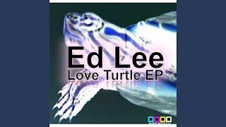 Love Turtle (Original)