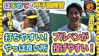 【興奮】森下＆富田がはじめての甲子園練習！#富田蓮 選手は人生初甲子園に大興奮！キャンプ後、初の甲子園練習の様子をご覧ください！