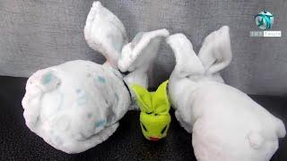 Cute Bunnies / DIY 