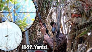 EP19-Airgun Adventure Philippines | BAGONG SPOT | COMMON BIRDS HUNTING..