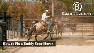 How to Fix a Buddy Sour Horse Preview