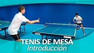 TENIS DE MESA 1. Introducción