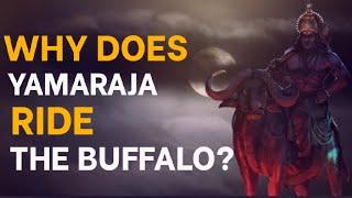 Why does Yamaraja Ride the Buffalo? | Gyankbc