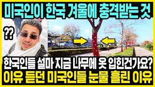 한국에 처음 간 미국인들이 충격받는 것 | 한국은 나무에도 옷을 입혀 | 한국의 겨울이 부러운 외국인들 | 해외반응