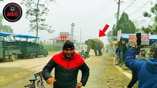 100 Incredible Moments Caught on Camera (P98)